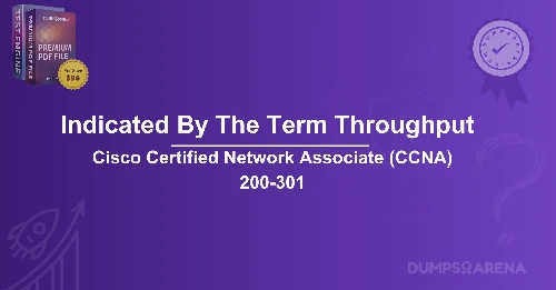 What Is Indicated By The Term Throughput?
