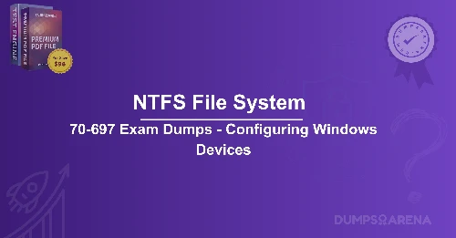 What Are Two Advantages Of The NTFS File System Compared With FAT32? (choose two.)