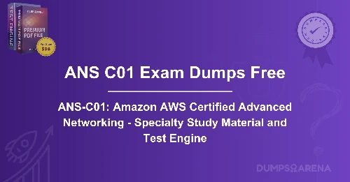ANS-C01 Exam Dumps Free – Tested & Proven
