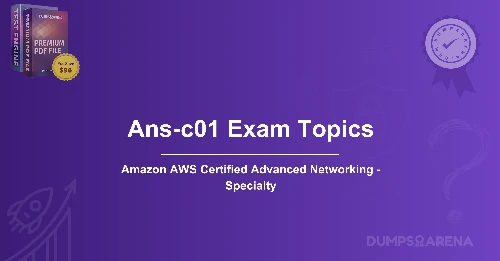 ANS-C01 Exam Topics - How to Improve Accuracy?