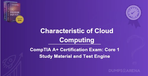 Which Statement Describes A Characteristic of Cloud Computing?