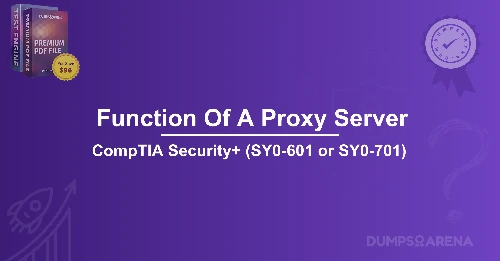 What Is A Common Function Of A Proxy Server?