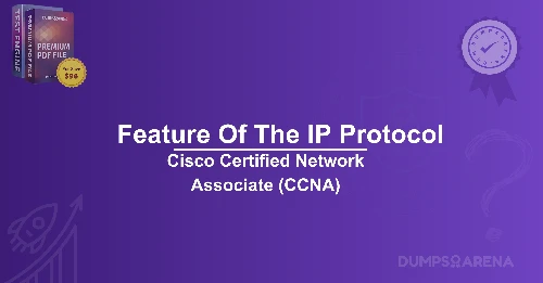 Which Statement Describes A Feature Of The IP Protocol?