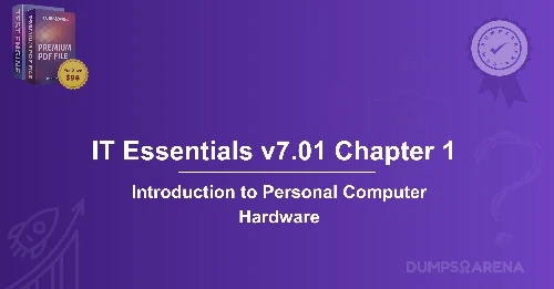 Which Port Allows For The Transmission Of High Definition Video Using The Displayport Protocol?