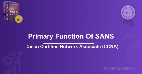What Is The Primary Function Of SANS?