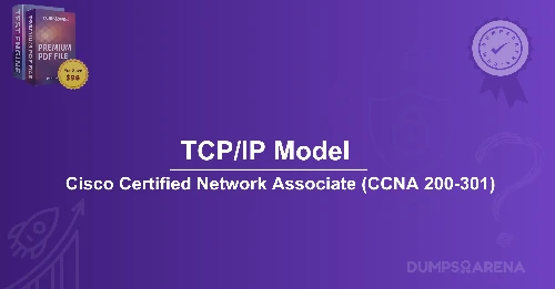 Which Two OSI Model Layers Have The Same Functionality As A Single Layer Of The TCP/IP Model?