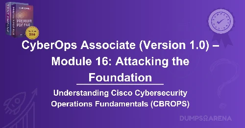 Which Term Describes A Field In The IPv4 Packet Header Used To Detect Corruption In The IPv4 Header?