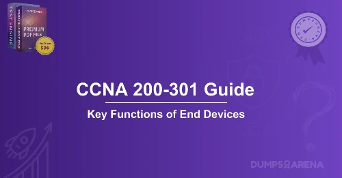 What Are Two Functions Of End Devices On A Network? (choose two.)