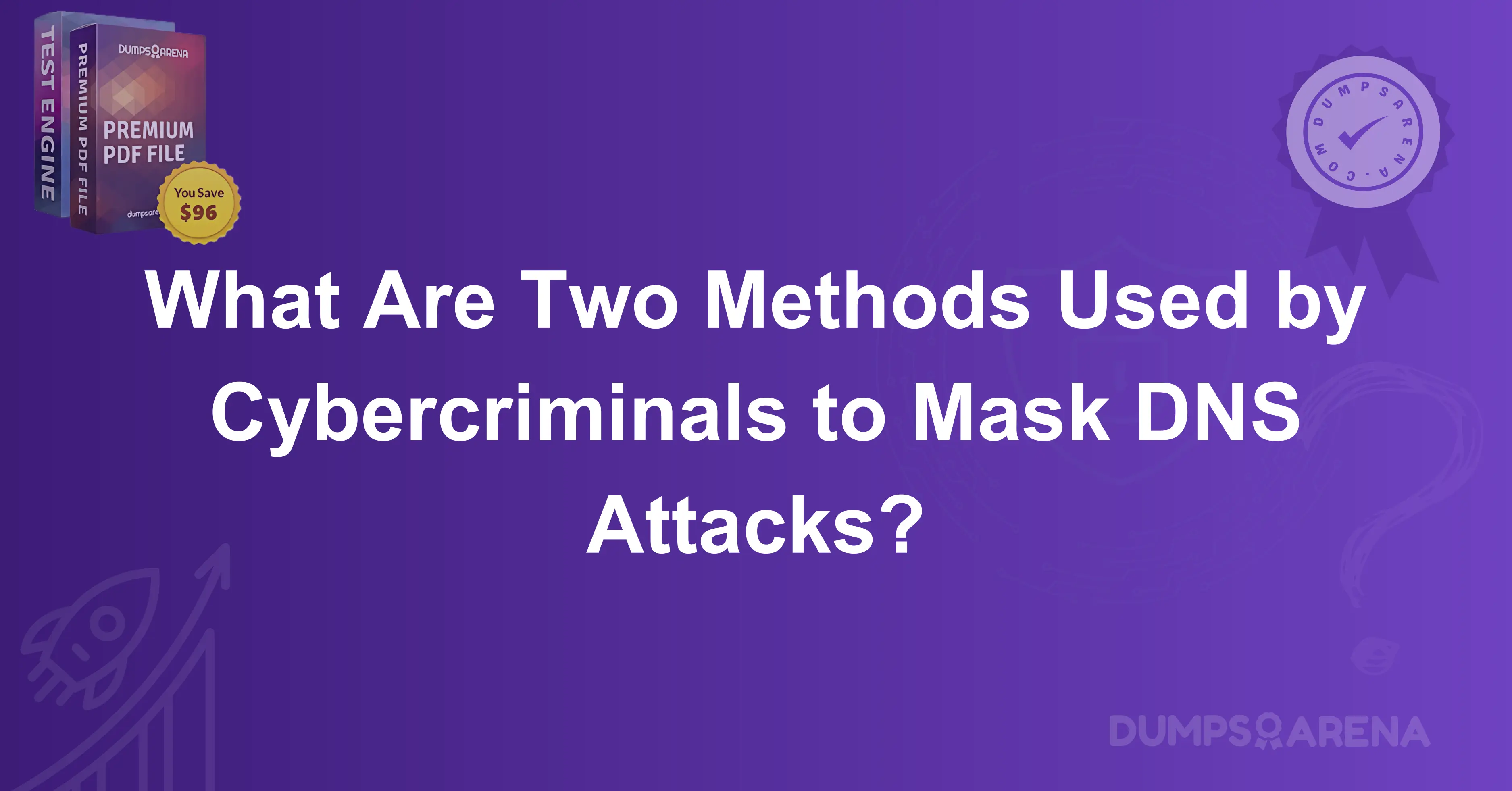 What Are Two Methods Used by Cybercriminals to Mask DNS Attacks?