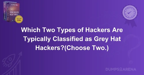 Which Two Types of Hackers Are Typically Classified as Grey Hat Hackers?(Choose Two.)